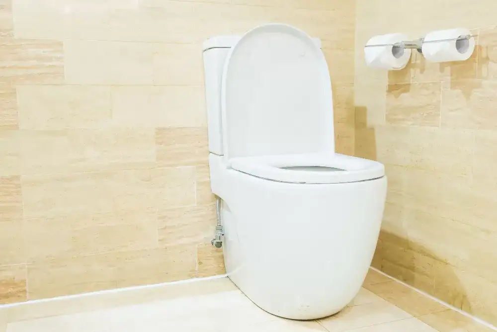 Tampon Clogged Toilet? Here’s What You Can Do